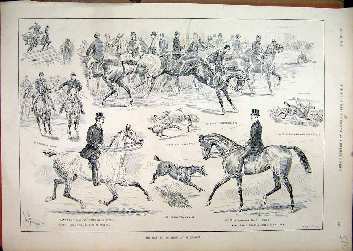 Original Old Antique Print 1892 May Horse Show Islington Diana Frank Haynes Cora
