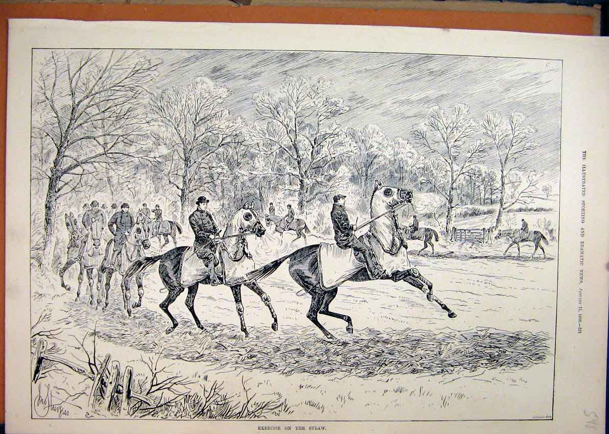Original Old Antique Print 1890 Exercising Race Horses Straw Country Scene 19th
