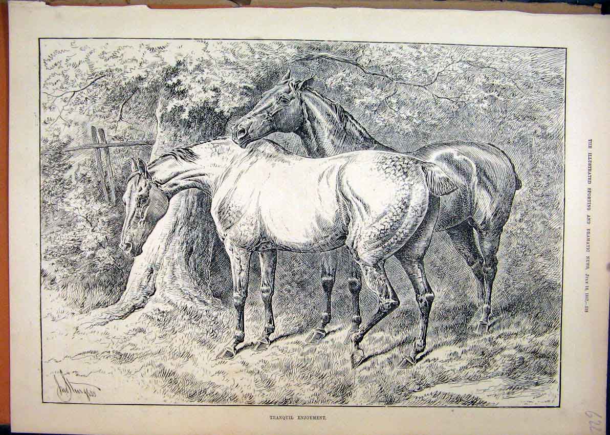 Original Old Antique Print 1887 Horses Dock Tail Tree Country Scene Sketch 19th