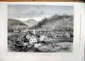 Original Old Antique Print 1878 Kennels France Albrect Braunfels Dogs Victorian
