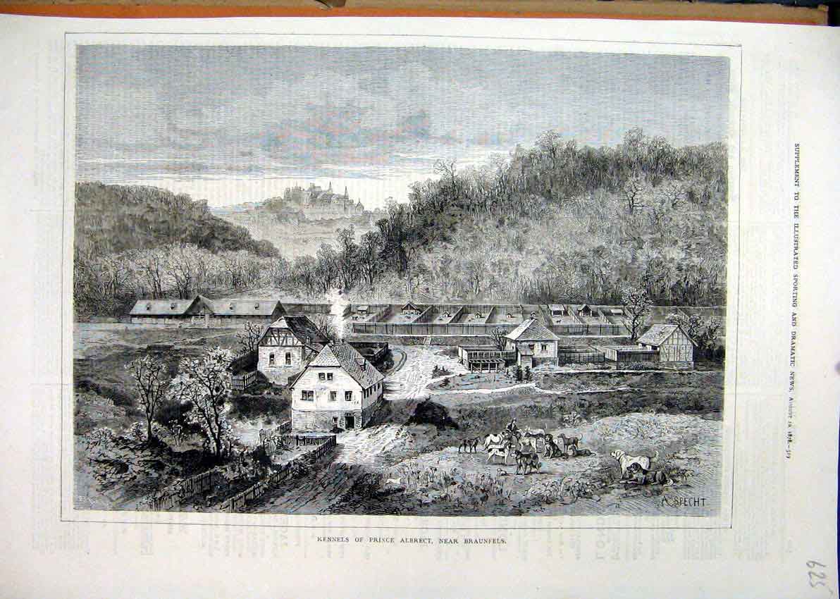 Original Old Antique Print 1878 Kennels France Albrect Braunfels Dogs Victorian