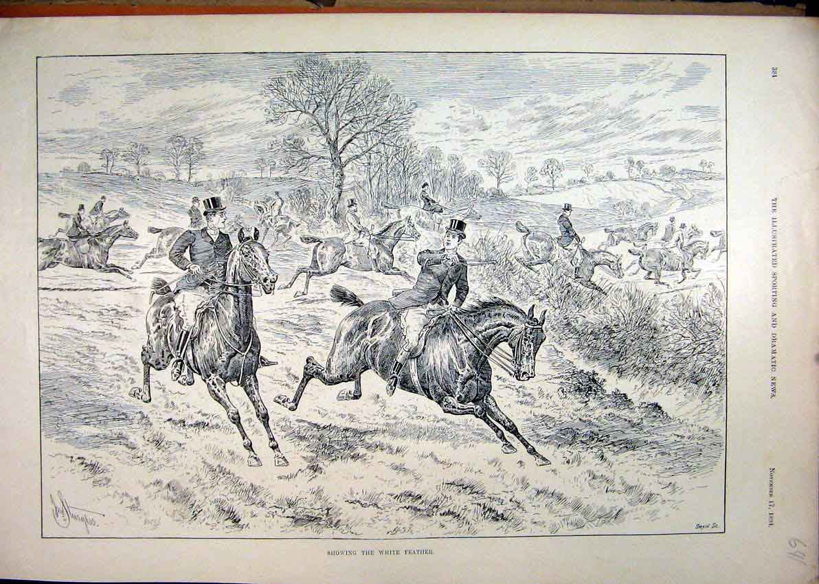 Old Antique Print 1894 Showing White Feather Horses Jumpinh Hedge Sketch 19th