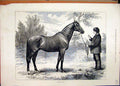 Original Old Antique Print 1874 Man Hing Horse Scottish Chief Country Victorian