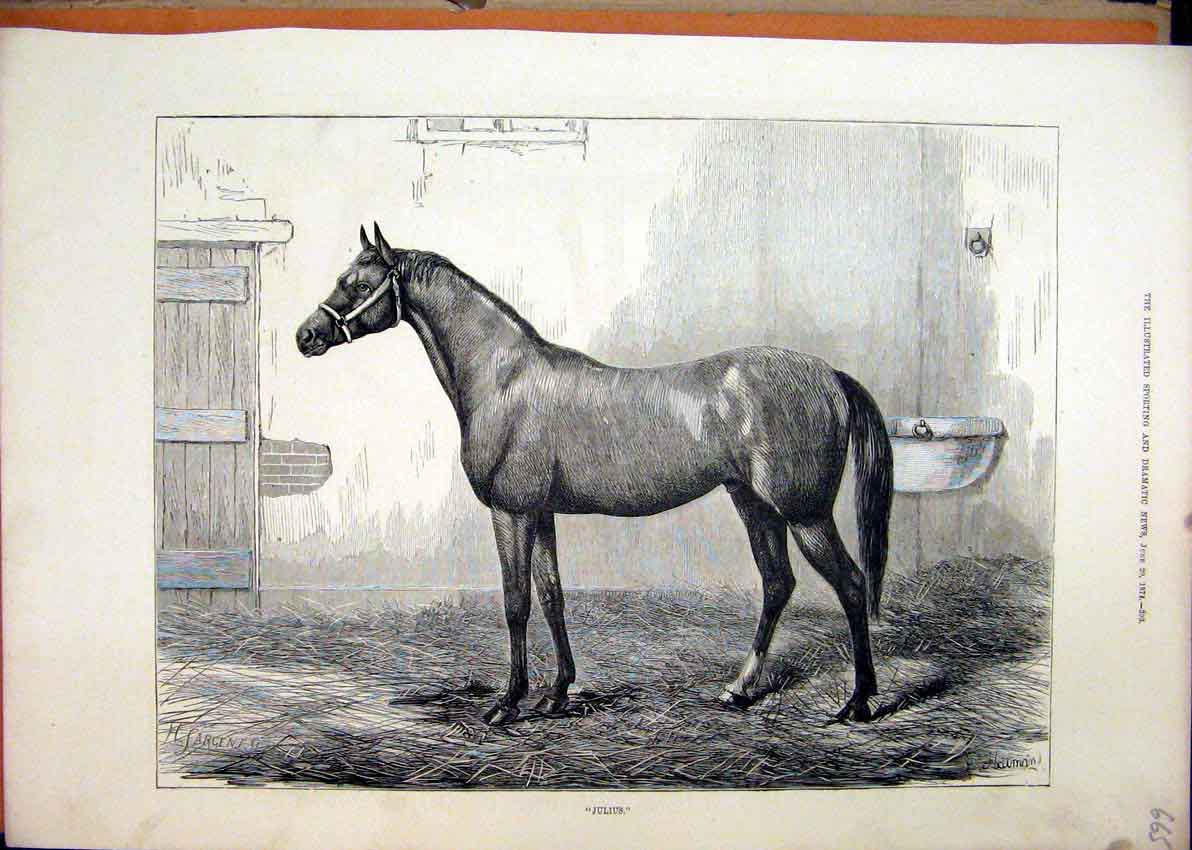 Original Old Antique Print 1874 Portrait Horse Julius Stable Straw Bed Victorian
