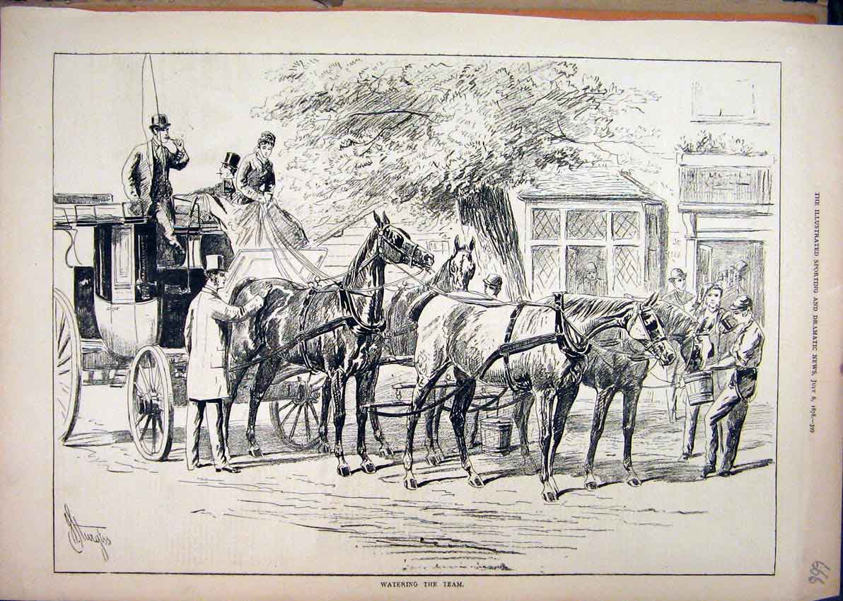 Original Old Antique Print 1878 Horses Drinking Coach Man Street Scene Victorian