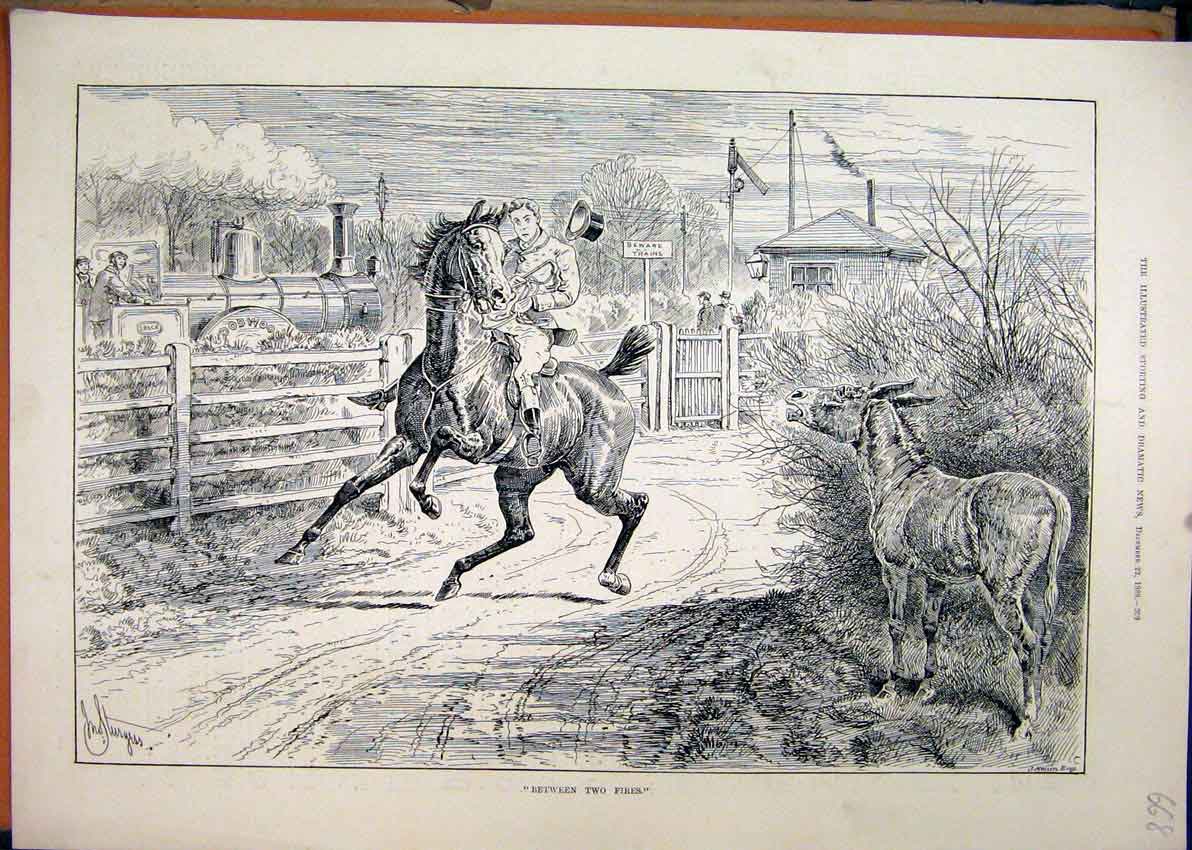 Original Old Antique Print 1888 Man Horse Donkey Train Railway 19th
