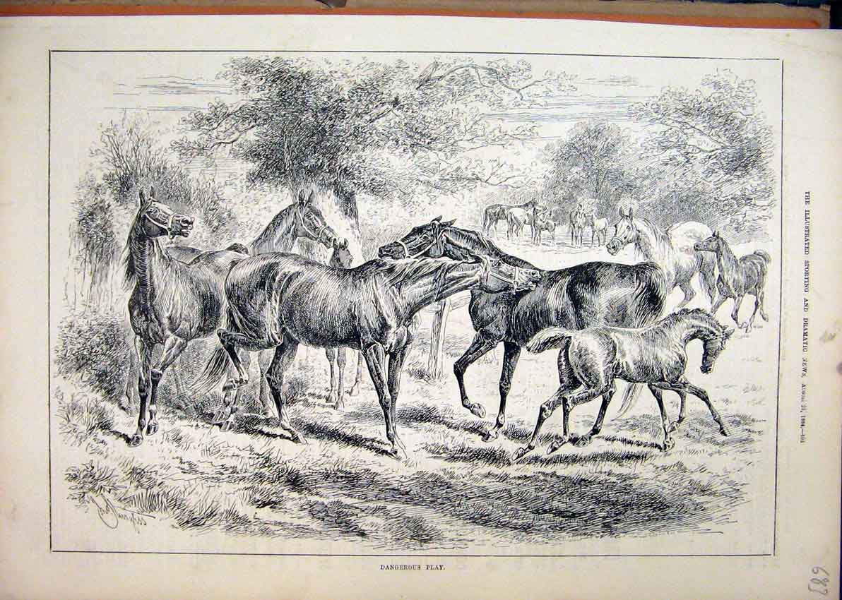 Original Old Antique Print Horses Playing Field 1884 Trees Country Scene 19th