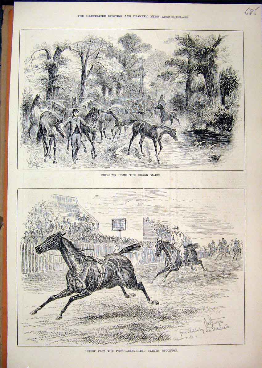 Original Old Antique Print 1883 Horses Brood Mares Cleveland Stakes Stockton
