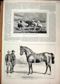 Original Old Antique Print 1877 Blankney Stud Horse St. Liz Huntsmen Rhinoceros