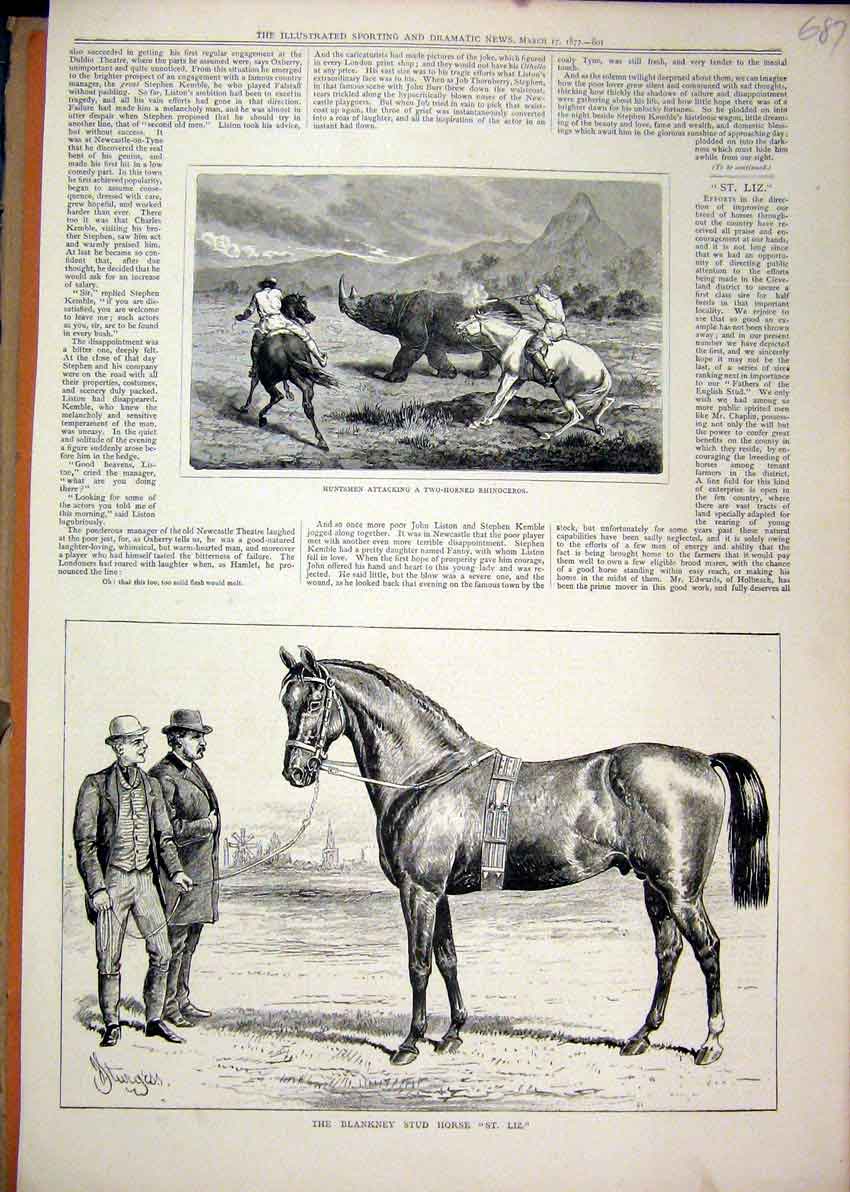 Original Old Antique Print 1877 Blankney Stud Horse St. Liz Huntsmen Rhinoceros