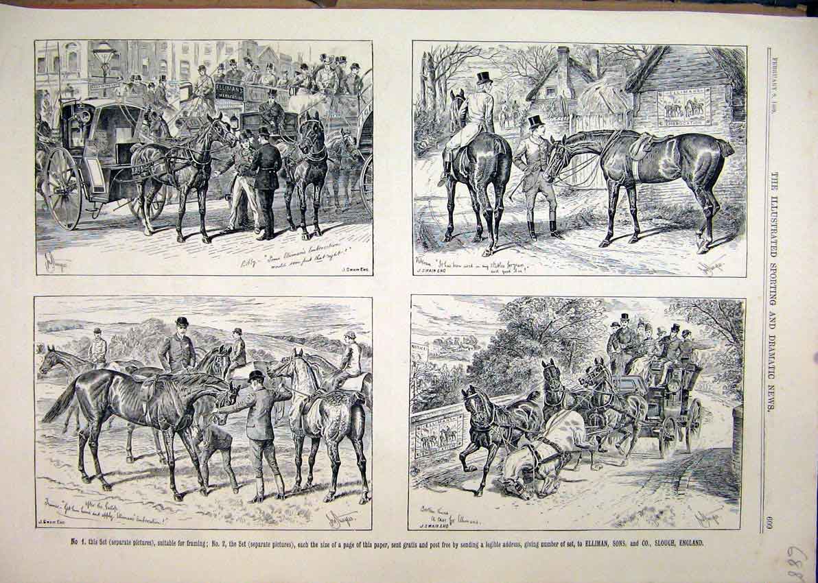 Original Old Antique Print 1889 Advert Ellimans Embrocation Horse Coach Sketches