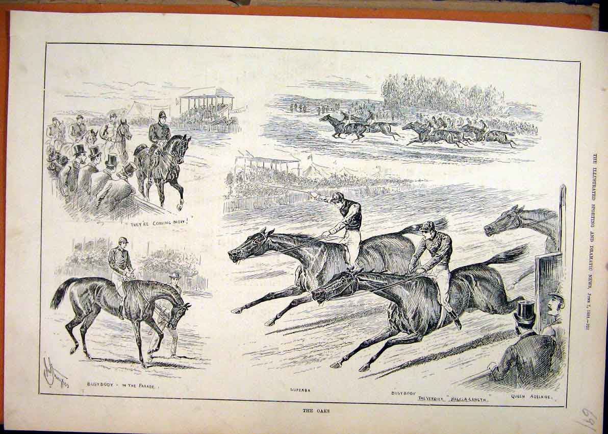 Old Antique Print 1884 Horse Racing Oaks Busybody Superba Queen Adelaide 19th