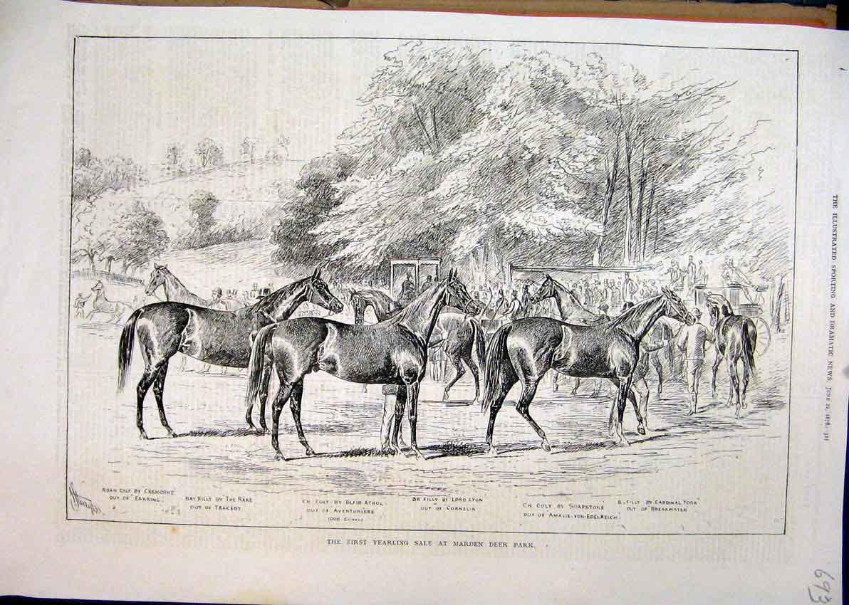 Old Antique Print 1878 Yearling Sale Marden Deer Park Blair Athol Horses 19th