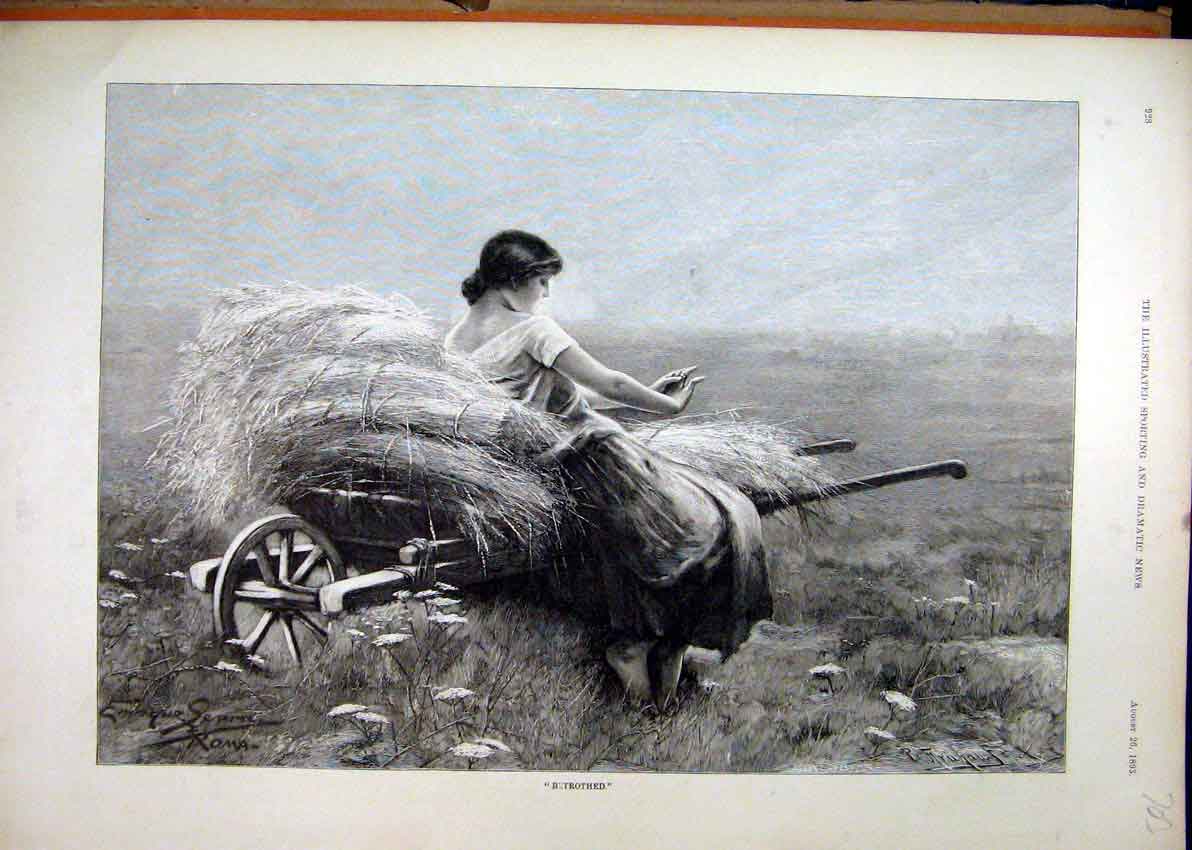 Original Old Antique Print Woman Sitting Hay Cart 1893 Country Field Victorian