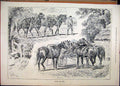 Original Old Antique Print Cart Horses Ploughing 1890 Eating Cart Country Scene