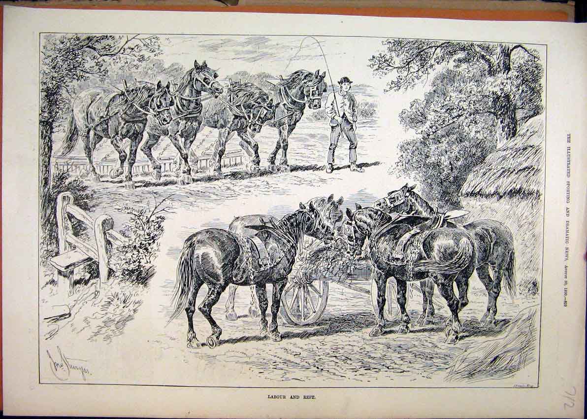 Original Old Antique Print Cart Horses Ploughing 1890 Eating Cart Country Scene