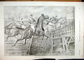Original Old Antique Print 1896 Horse Racing Jockey Crashing Fence Victorian