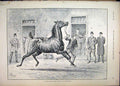 Original Old Antique Print 1895 Horse Sale Man Leading Running Stable Victorian