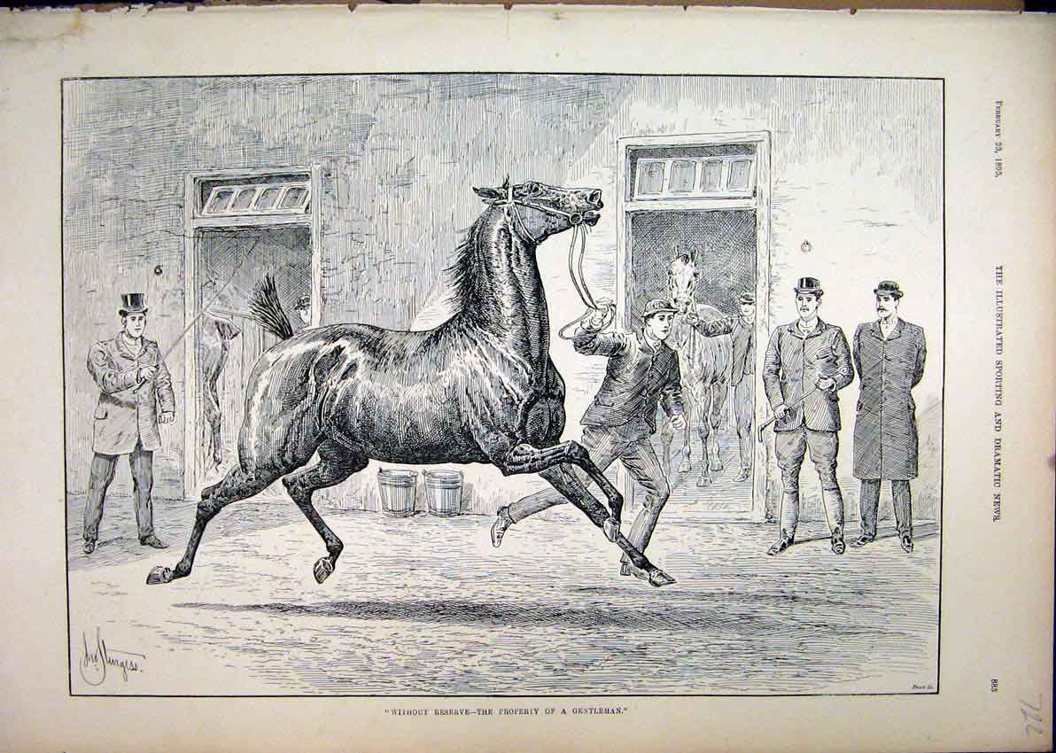 Original Old Antique Print 1895 Horse Sale Man Leading Running Stable Victorian