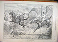 Original Old Antique Print 1896 Men Horse Jumping Trees Falling Country Scene