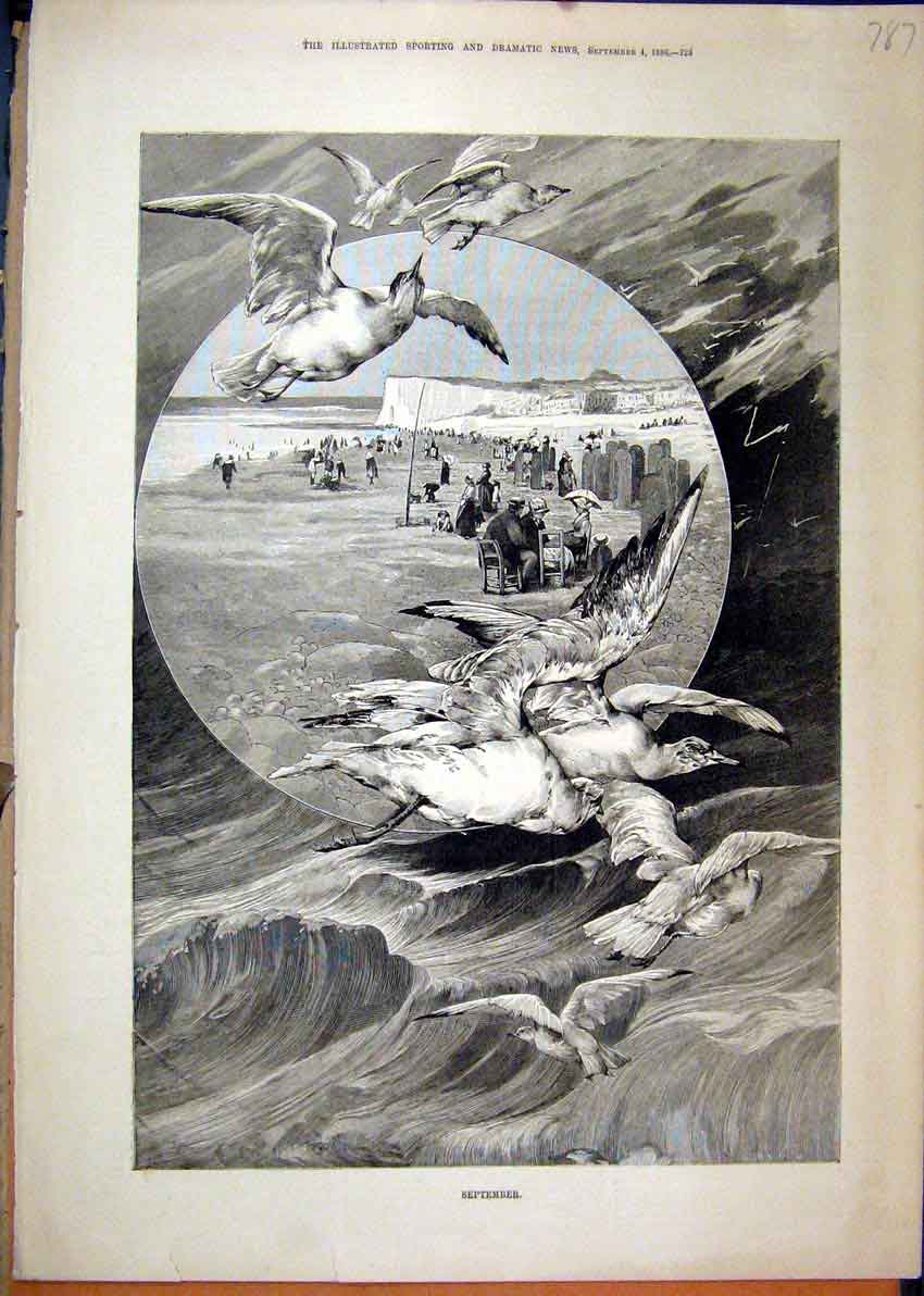Original Old Antique Print September Beach Scene 1886 Birds Cliffs Stormy Sea