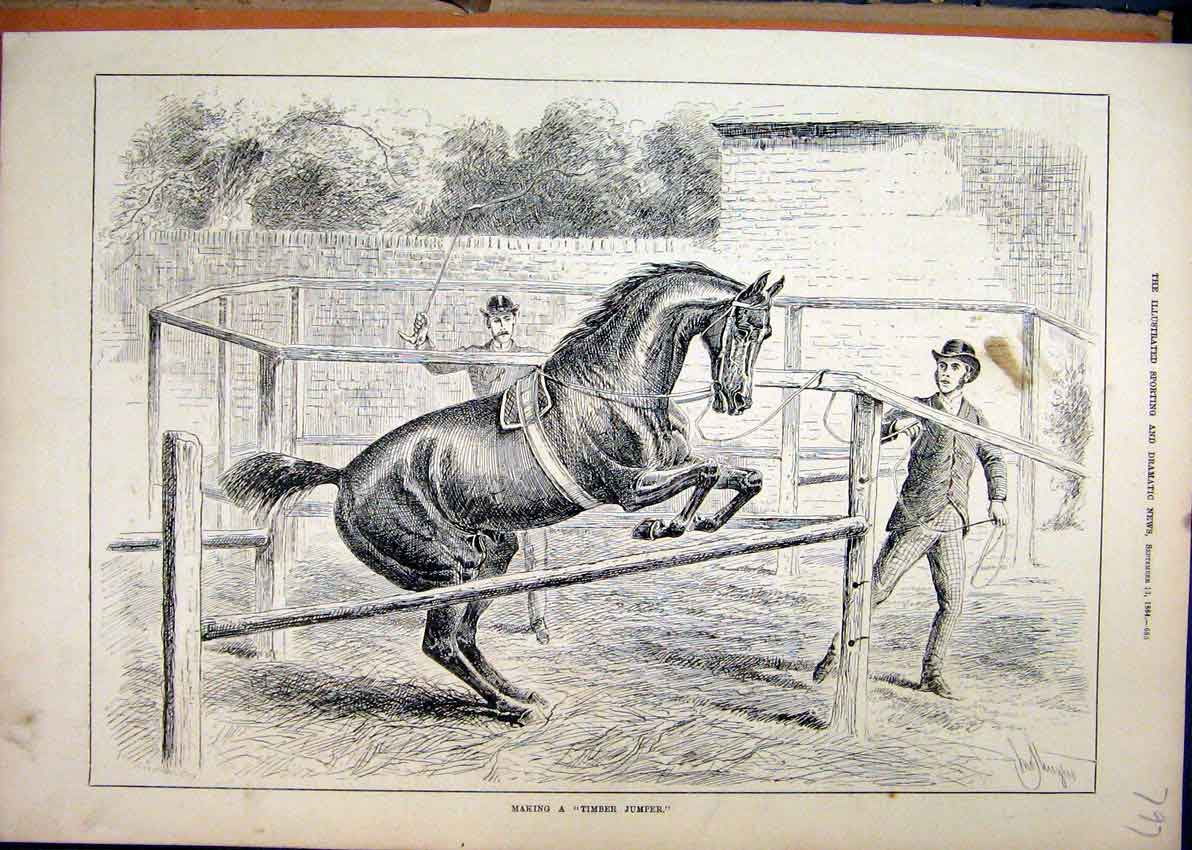 Original Old Antique Print Timber Jumper 1884 Horse Training Men 19th