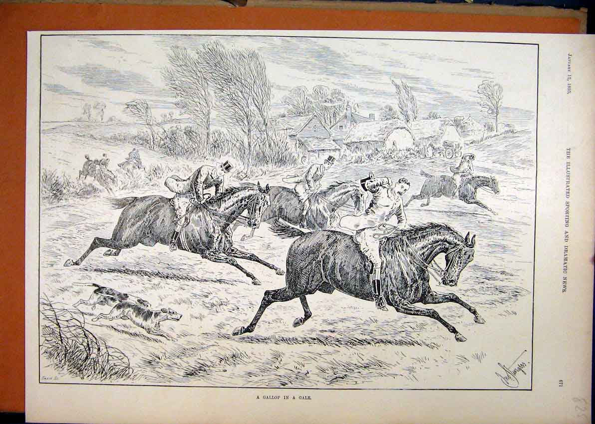 Original Old Antique Print Horse Men 1895 Gallop Gale Wind Jumping Field 19th