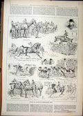 Original Old Antique Print 1892 Horses Hounds Peterborough Show Jumping Hunter