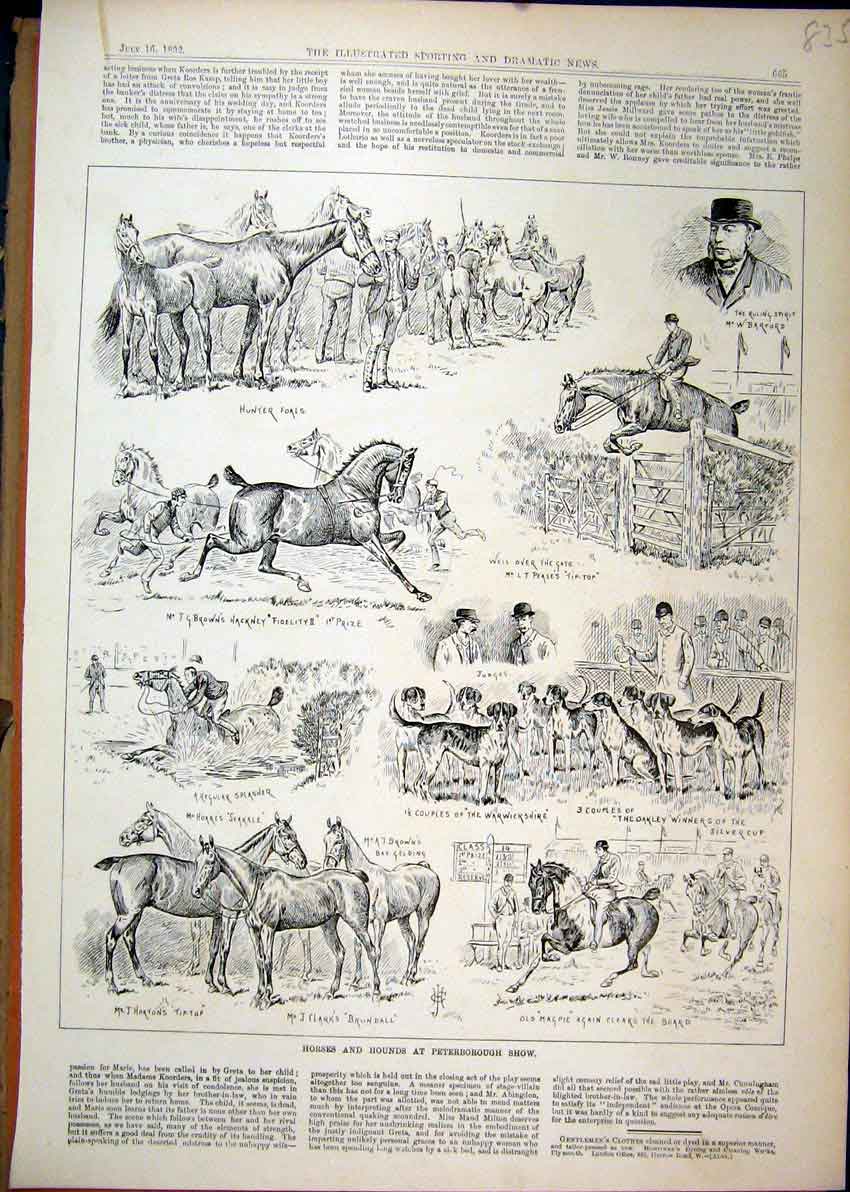 Original Old Antique Print 1892 Horses Hounds Peterborough Show Jumping Hunter