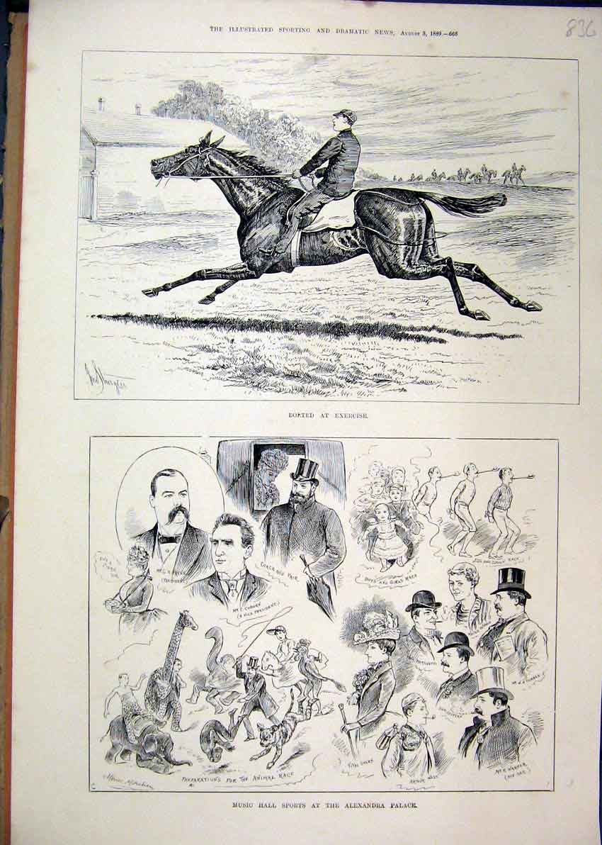 Old Antique Print Music Hall Sport Alexandra Palace 1889 Horse Exercising 19th