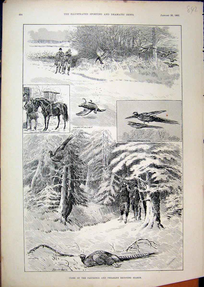 Old Antique Print 1892 Partridge Pheasant Bird Shooting Season Horse Tree 19th