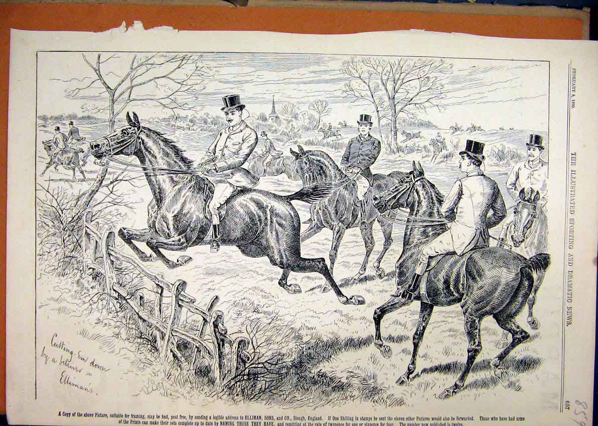 Original Old Antique Print 1890 Advert Ellimans Embrocation Horse Jumping Fence