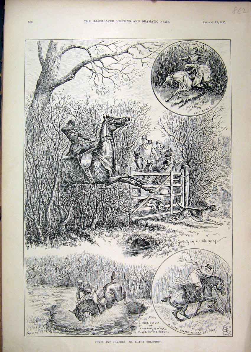 Original Old Antique Print Horses Jumping Hedge Falling River 1895 Sketch 19th