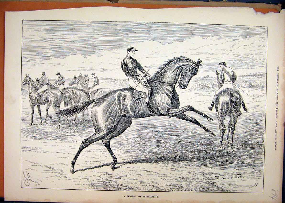 Original Old Antique Print 1887 Jockey Race Horses Jumping Country Victorian