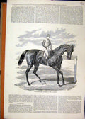 Original Old Antique Print Horse Racing 1876 Petrarch Winner St Leger Victorian