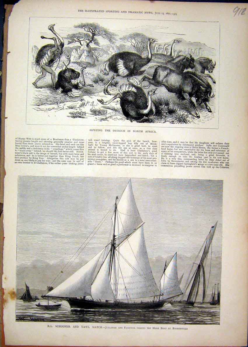 Original Old Antique Print 1877 Ostrich North Africa Schooner Yawl Match Ship