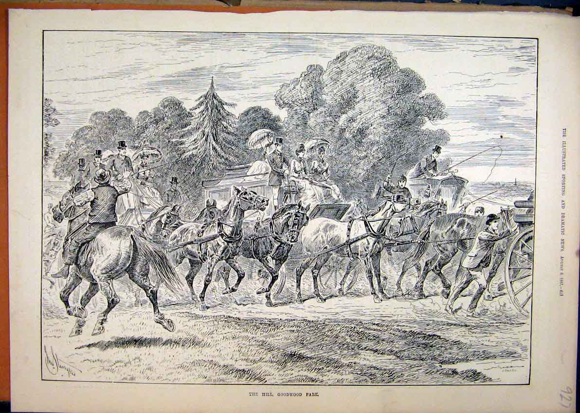 Original Old Antique Print Hill Goodwood Park 1887 Horses Coach Country Scene