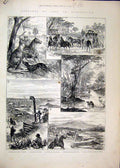 Original Old Antique Print Queensland 1884 Kanogaroo Sheep Shepherd Coal Duck