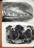 Original Old Antique Print Sketches Deep-Dyed Sponge Tragedy 1897 Ship Comedy