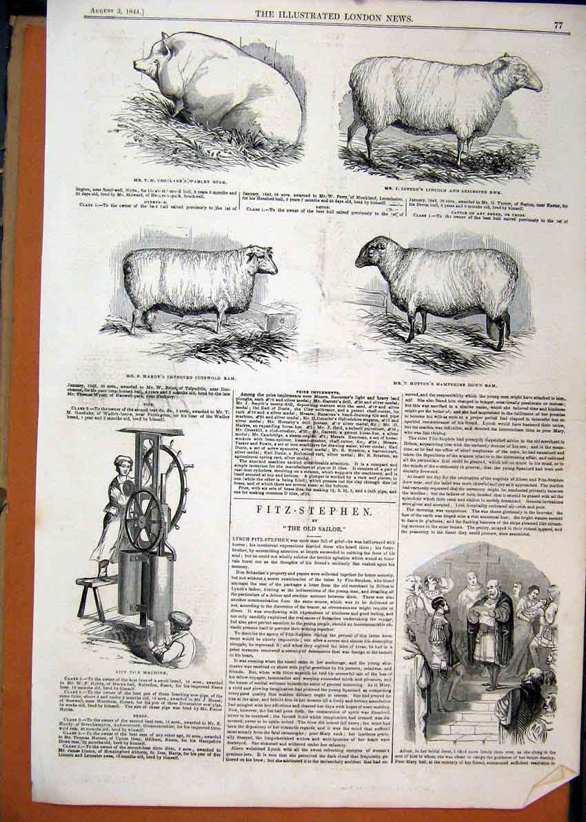 Original Old Antique Print 1844 Pipe Tile Machine Sheep Ewe Boar Ram Victorian