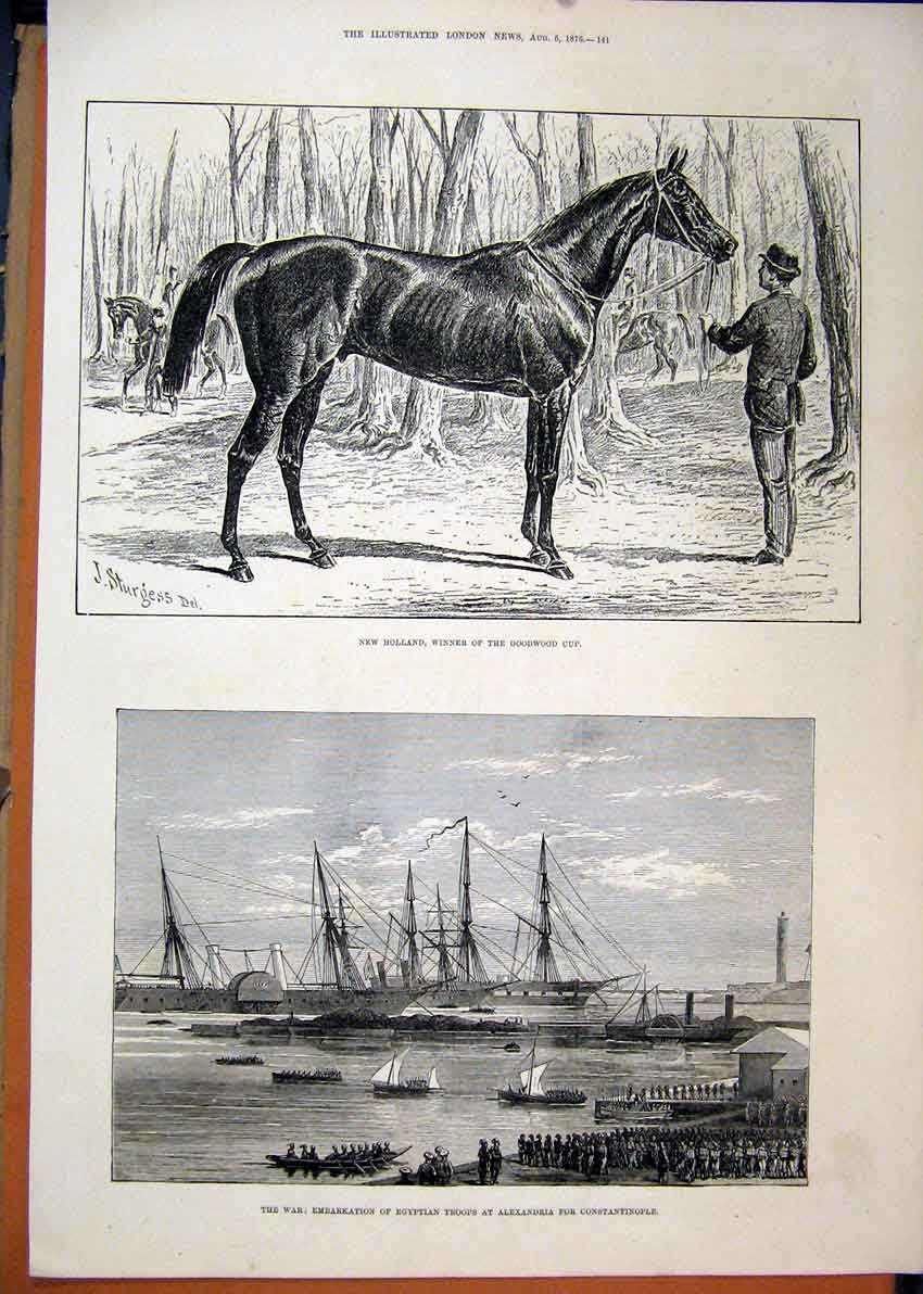 Original Old Antique Print 1876 Horse New Holland Winner Goodwood Cup War Troops