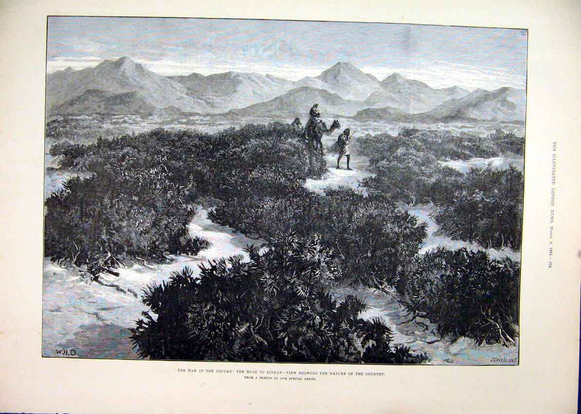 Original Old Antique Print 1884 War Soudan Road Sinkat Country Camel Mountains
