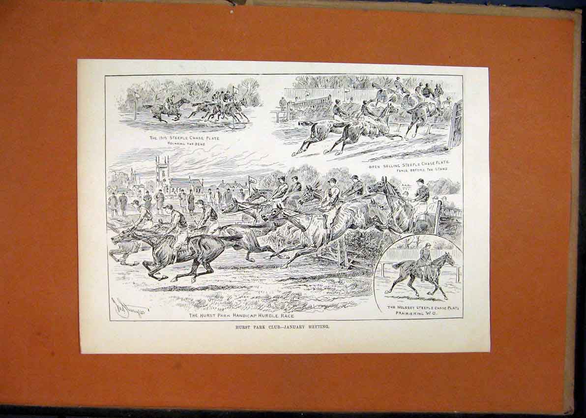 Original Old Antique Print Hurst Park Club Meeting C1870 Horses Steeple-Chase
