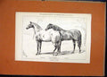 Original Old Antique Print 1878 Canadian Ponies Margot Souris Horses Victorian