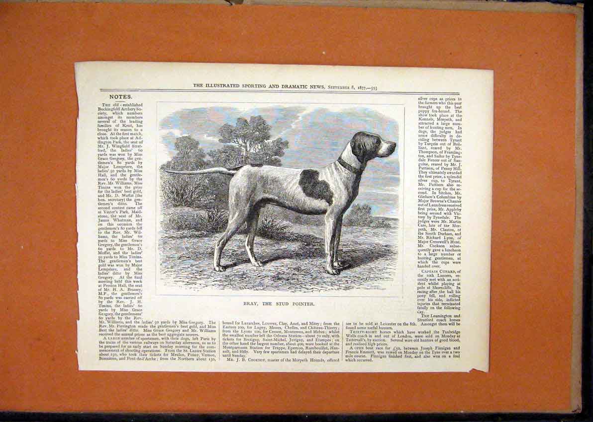 Original Old Antique Print 1877 Portrait Dog Bray Stud Pointer Country Scene
