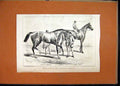 Original Old Antique Print Winners City Suburban Metropolitan C1870 Horse Races