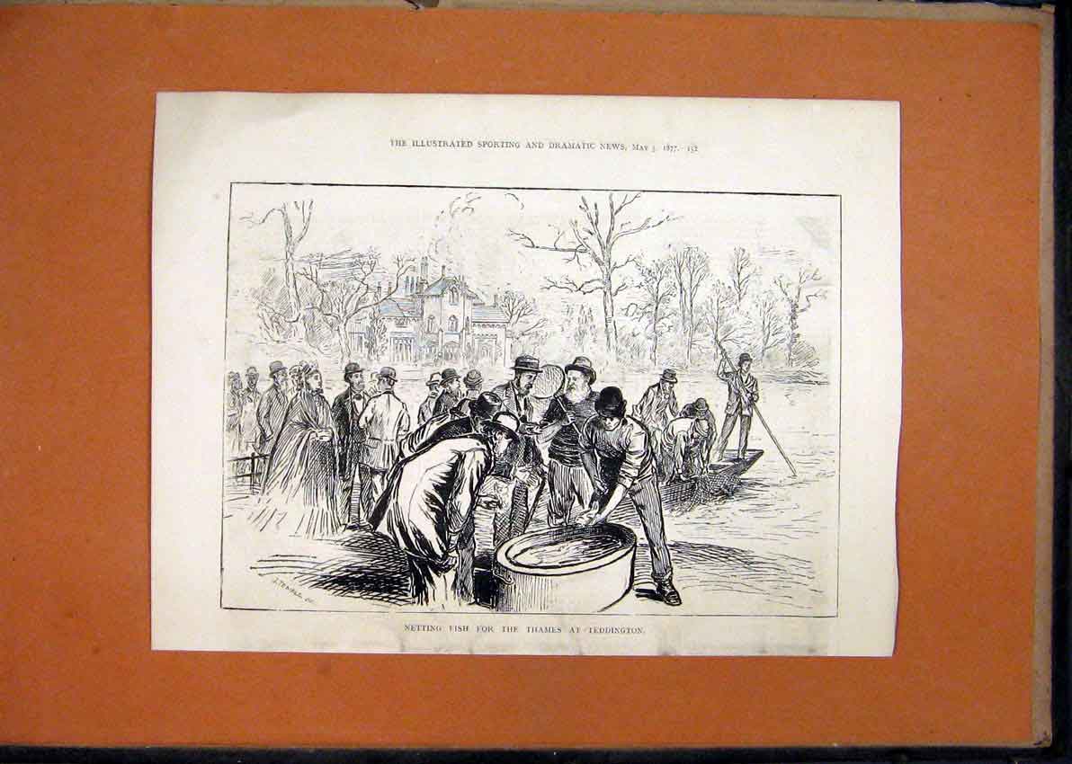 Old Antique Print Netting Fish Thames Teddington 1877 River Country Scene 19th