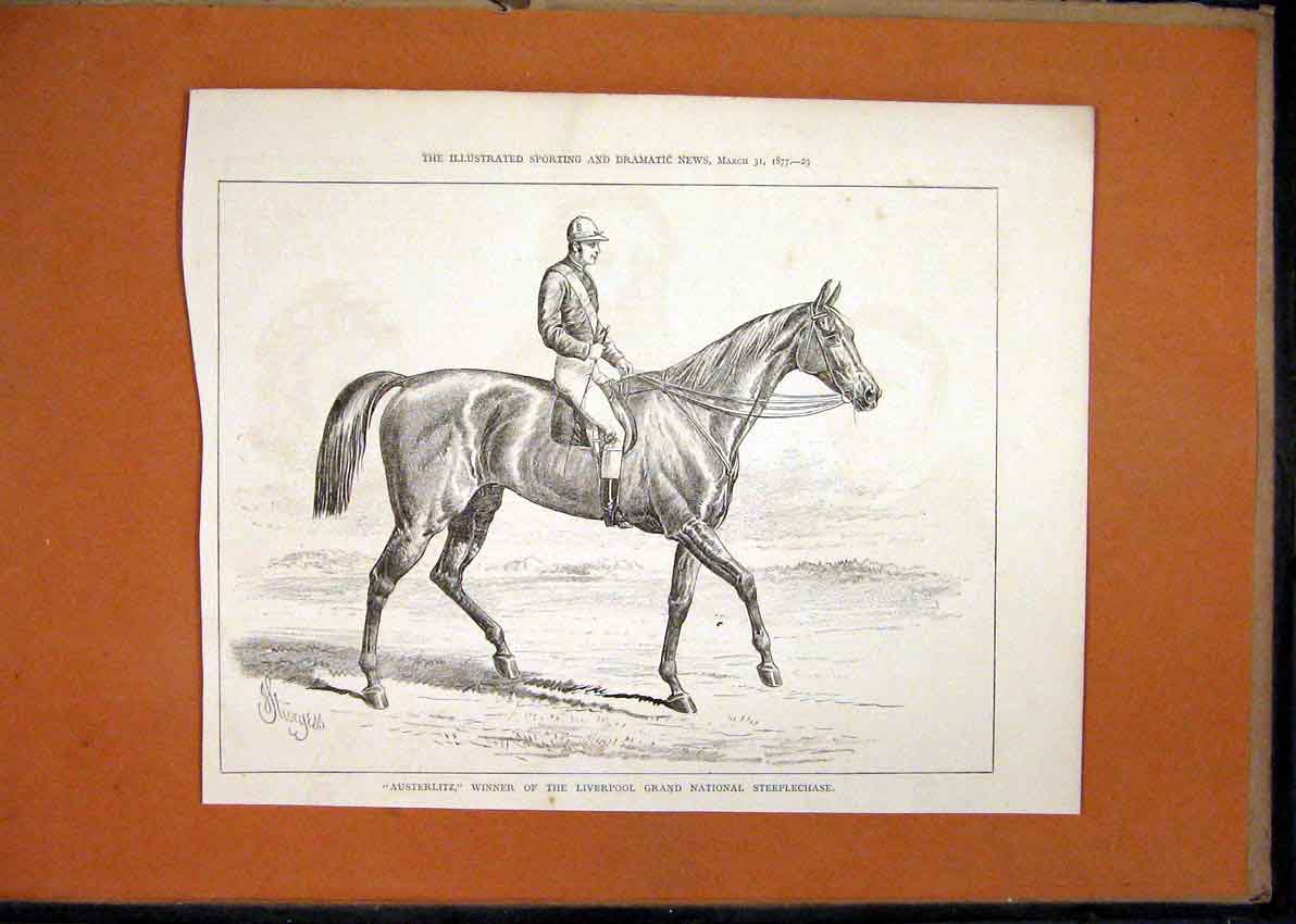 Original Old Antique Print Austerlitz Winner Liverpool Grand National 1877 Race