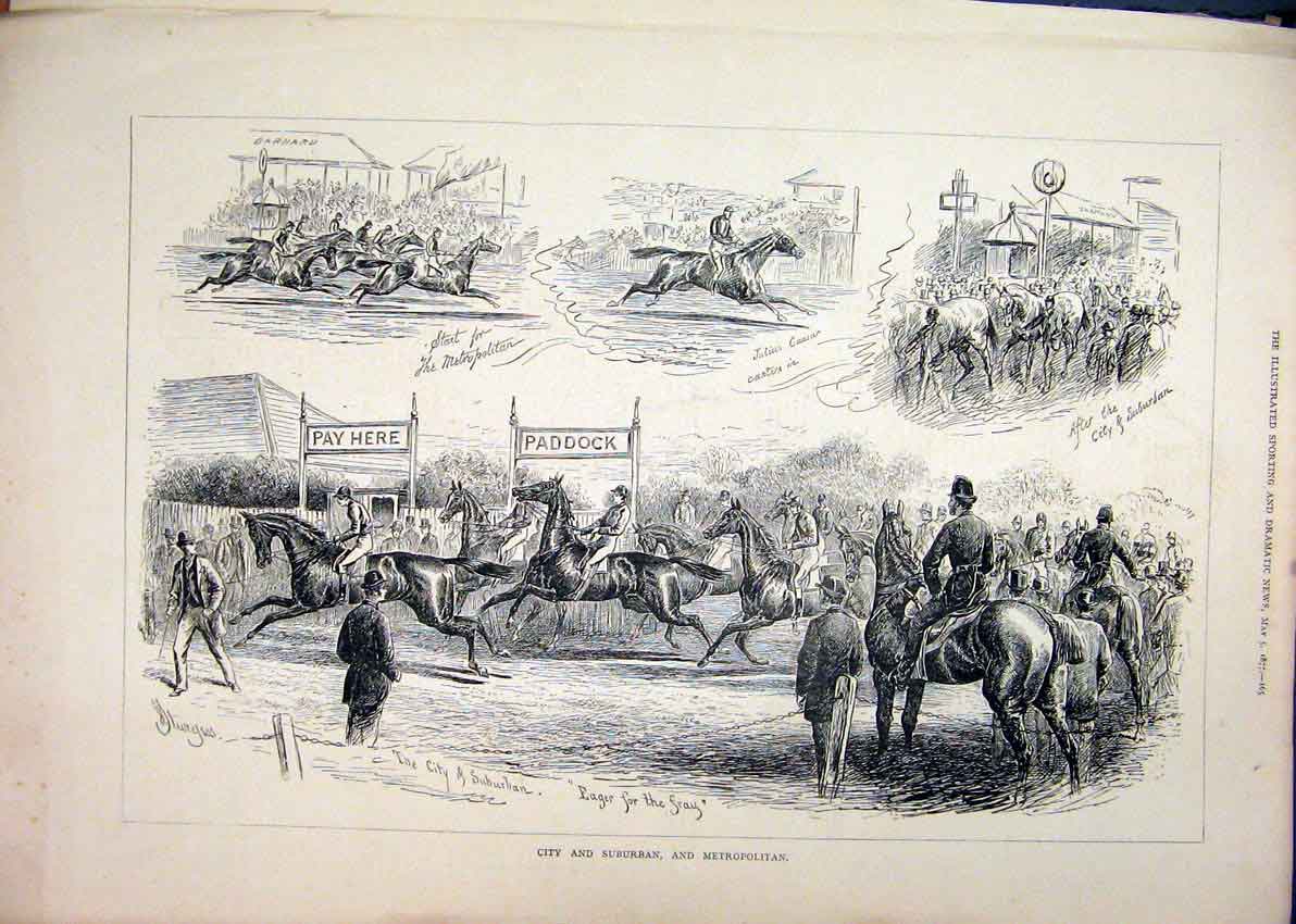 Original Old Antique Print 1877 City Suburban Metropolitan Horses Paddock Racing