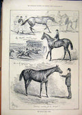 Original Old Antique Print 1888 Middle Park Plate Horse Racing Grand Stand 19th